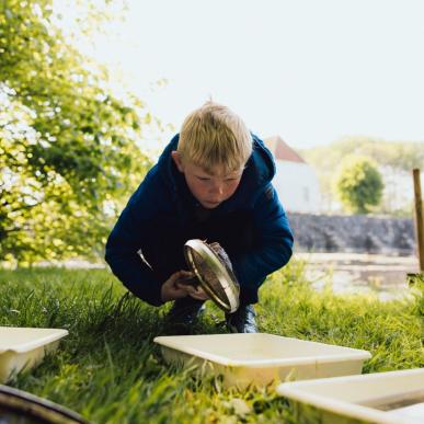 Ærø for børn - familieferie på Ærø